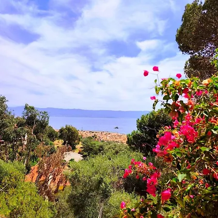 Premium - 1 Bedroom - Panoramic Sea View At Les Sanguinaires شقة *