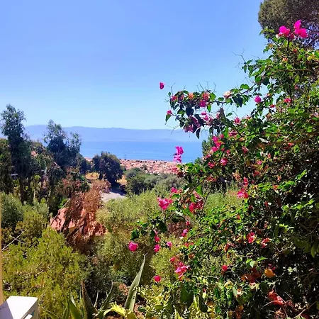 Premium - 1 Bedroom - Panoramic Sea View At Les Sanguinaires شقة