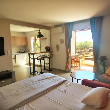 Premium - 1 Bedroom - Panoramic Sea View At Les Sanguinaires * أجاكسيو